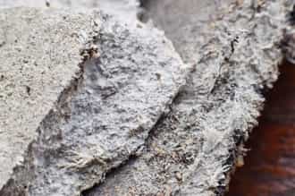 mold-testing-houston-texas-resized-1